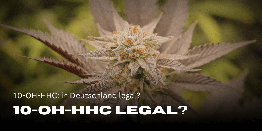 10-OH-HHC: in Deutschland legal?