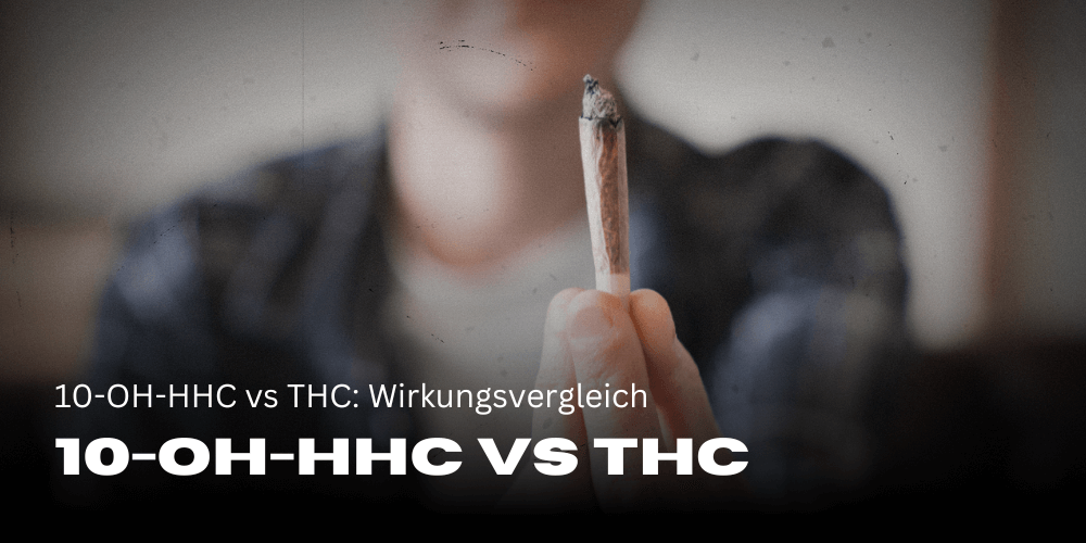 10-OH-HHC vs THC: Wirkungsvergleich