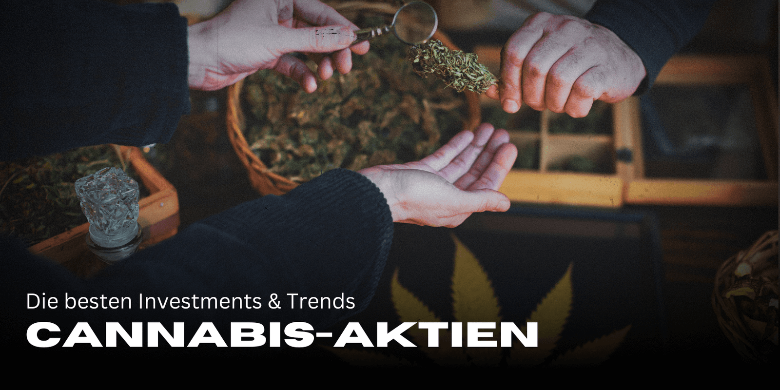 Cannabis-Aktien 2025: Die besten Investments & Trends 🚀