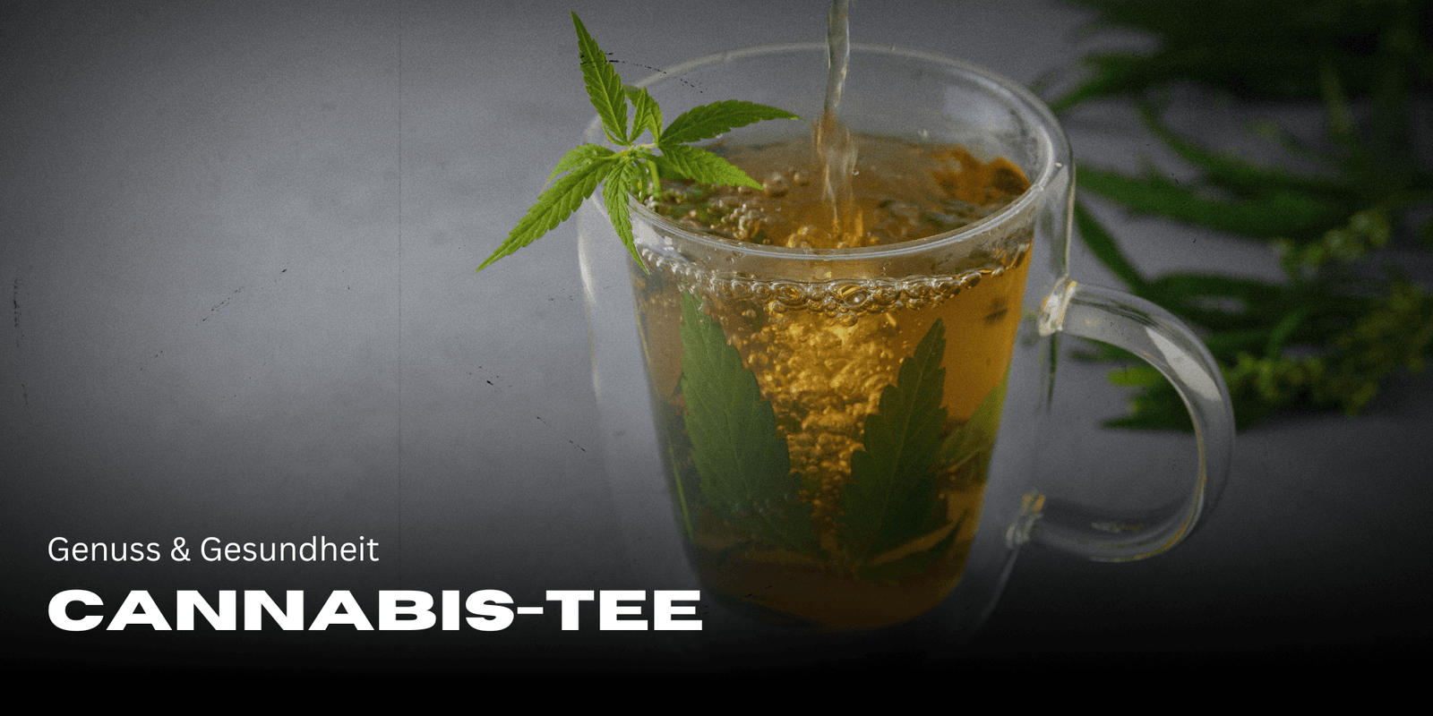 Cannabis-Tee: Genuss & Gesundheit in einer Tasse