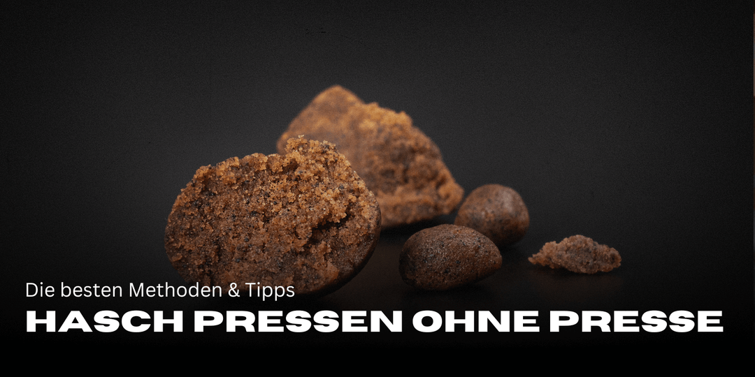 Hasch pressen ohne Presse: Die besten Methoden & Tipps