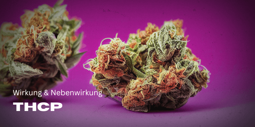 THCp – Guide: Wirkung & Nebenwirkung