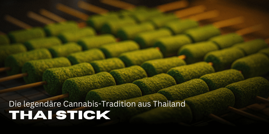 Thai Stick: Die legendäre Cannabis-Tradition aus Thailand