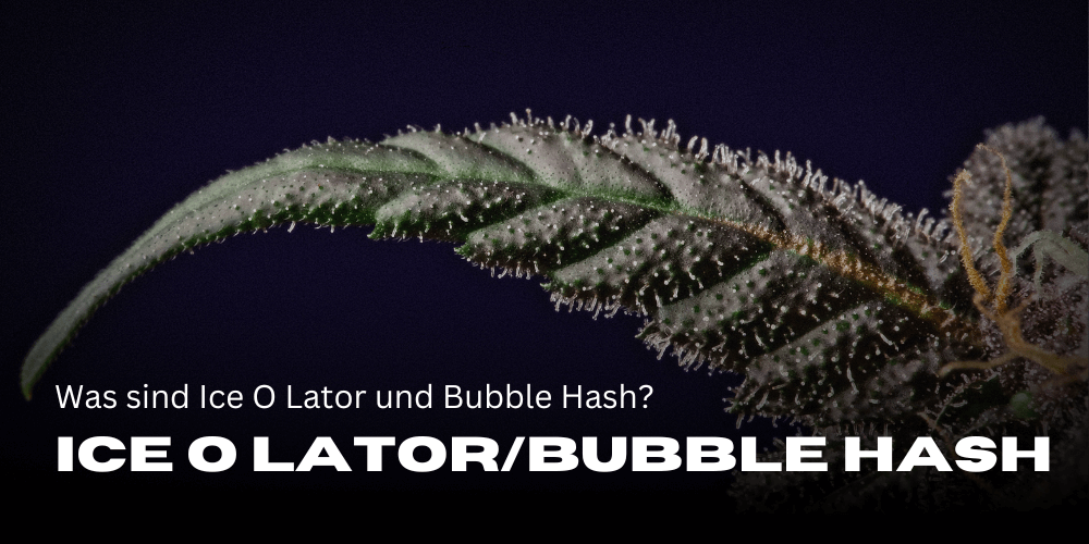 Was sind Ice O Lator und Bubble Hash?