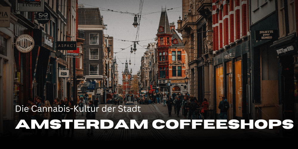 Amsterdam Coffeeshops: die Cannabis-Kultur der Stadt