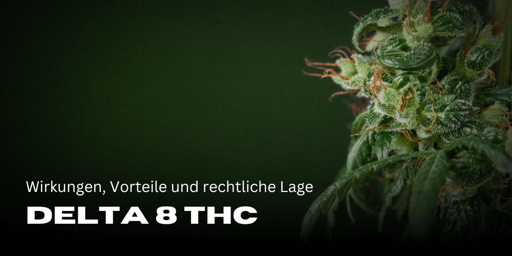 Delta 8 THC: Wirkungen, Vorteile und rechtliche Lage