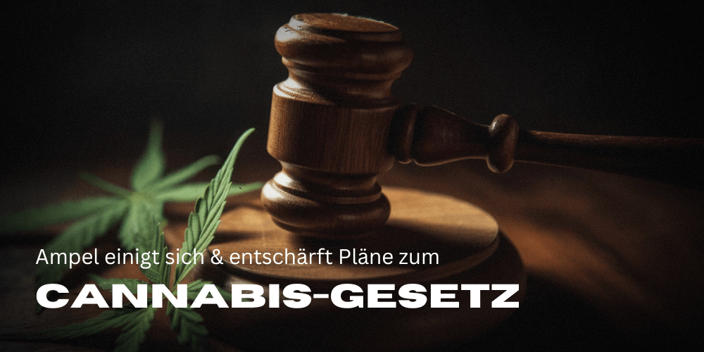 Legalizzazione della cannabis | Legislazione in Germania