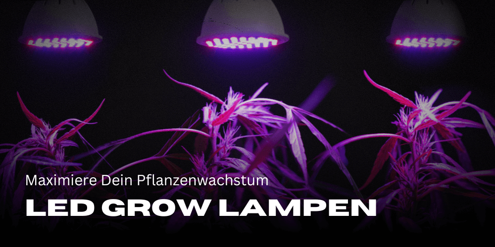 Die besten LED Grow Lampen 2024: Maximiere Dein Pflanzenwachstum