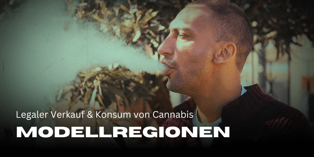 Cannabis Modellregionen