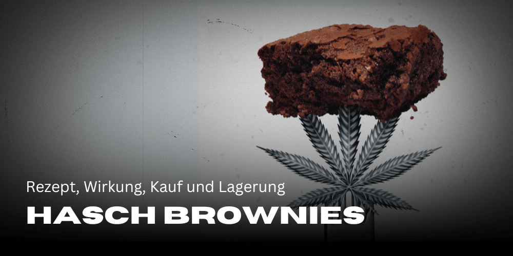 Hasch Brownies: Rezept, Wirkung, Kauf und Lagerung