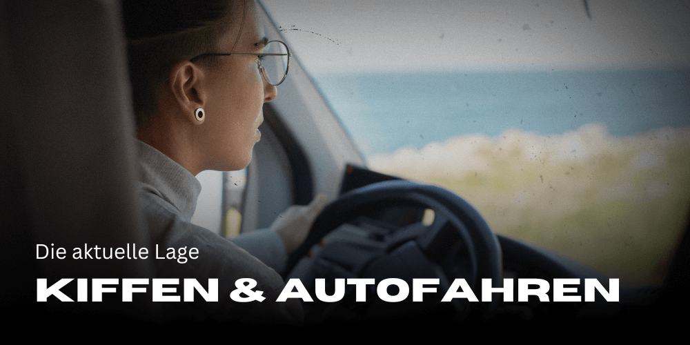 Kiffen und Autofahren - Die aktuelle Lage