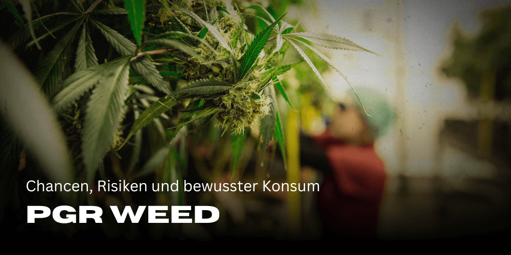 PGR Weed: Chancen, Risiken und bewusster Konsum