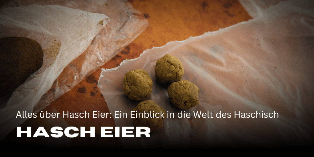 Alles über Hasch Eier: Ein Einblick in die Welt des Haschisch