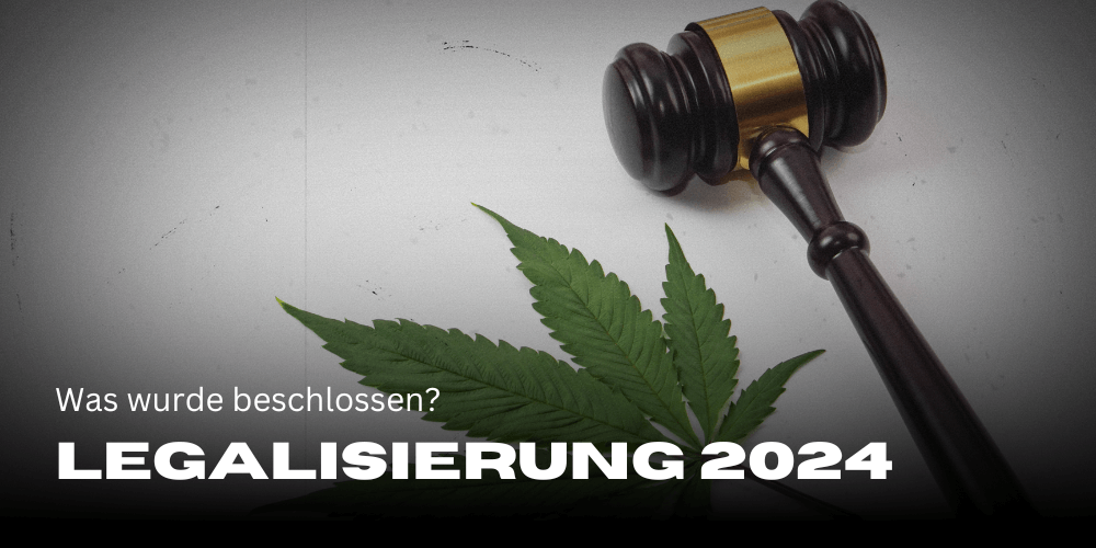 Cannabis-Legalisierung 2024: was wurde am 23.2. beschlossen?