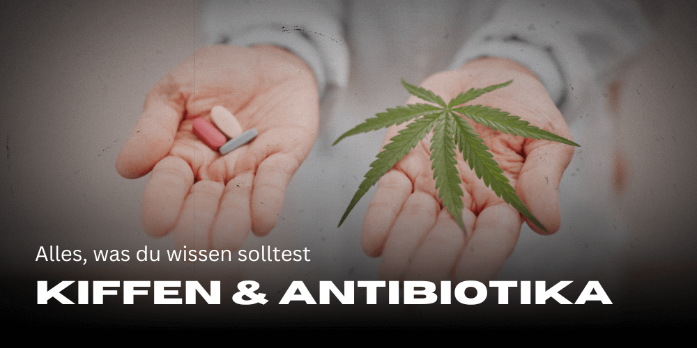 Kiffen und Antibiotika: Alles, was du wissen solltest