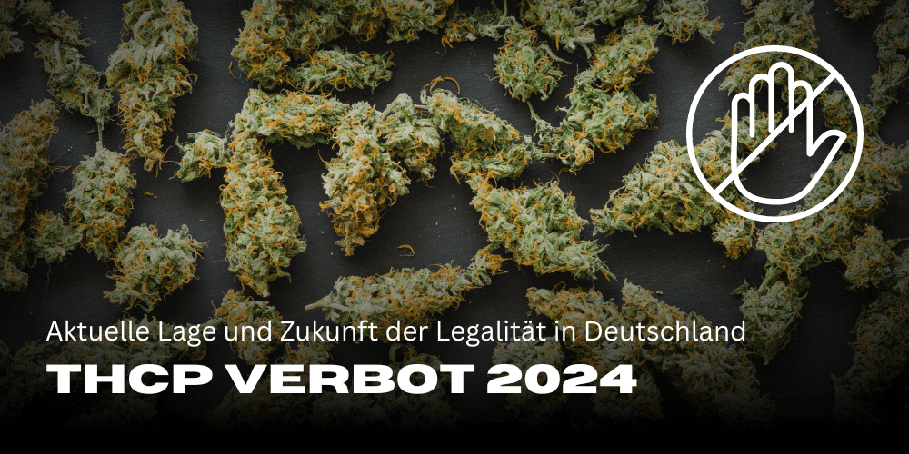 THCP Verbot 2024: Aktuelle Lage und Zukunft der Legalität in Deutschland