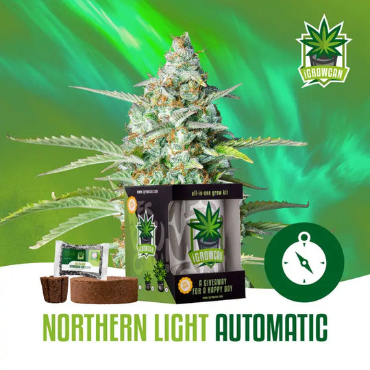 All-in-One Grow Kit: Northern Light Auto (iGrowCan)