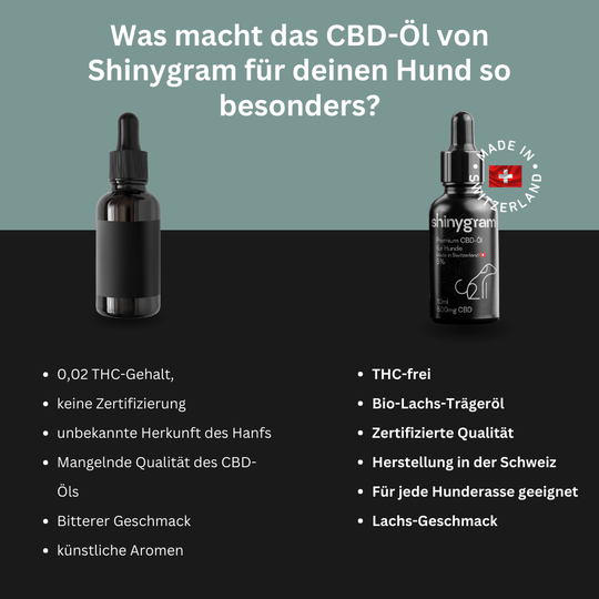 Hochweertiges CBD Öl für Hunderassen