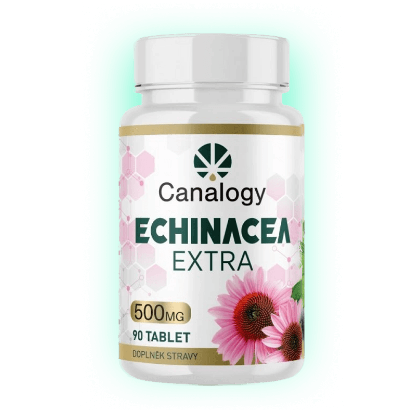 Echinacea Extra 90 Tabletten