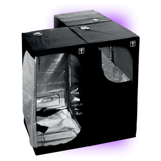 Growbox Cultibox SG-Combi 60