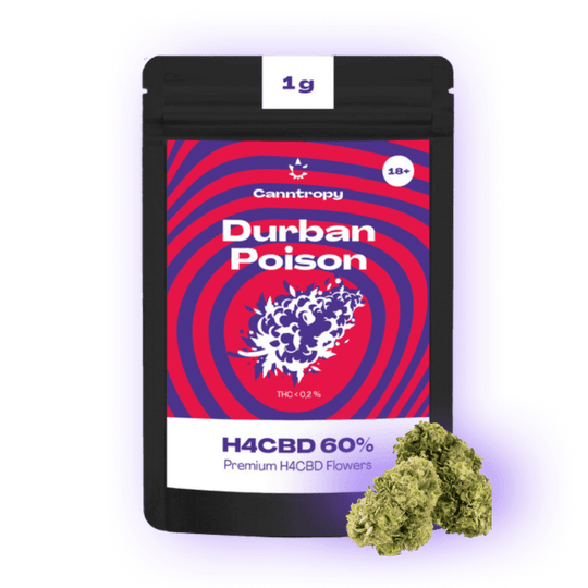 h4cbd durban poison blüte Canntropy