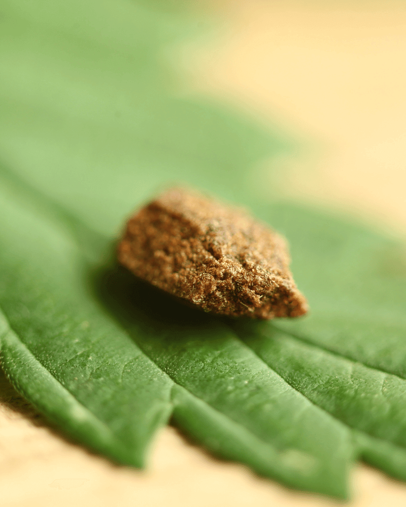 Cannabis Hash auf Cannabis Blatt