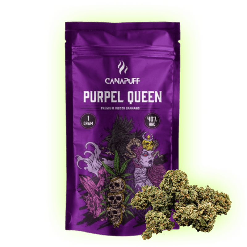 Purple Queen Canapuff HHC Blüten