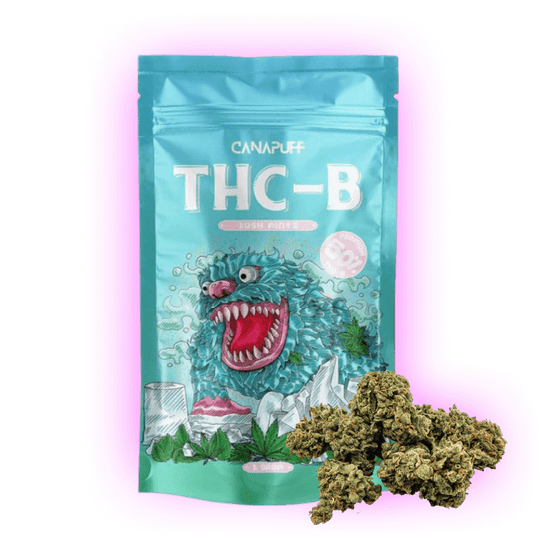 Blüten Kush Mintz THC-B Blüte