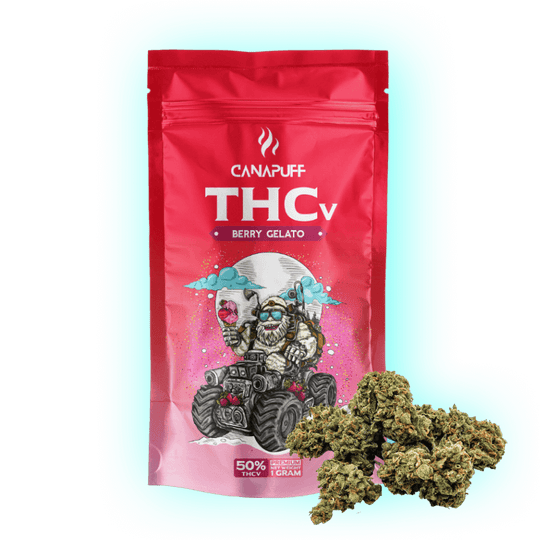 THCv THCp Berry Gelato Blüten Buds