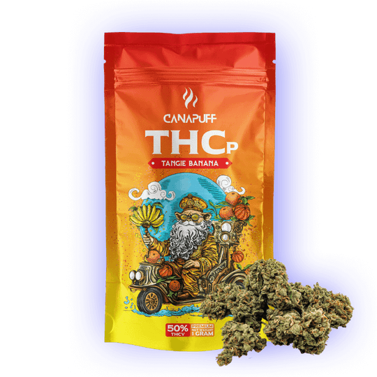 THCp Blüten Tangie Banana kaufen