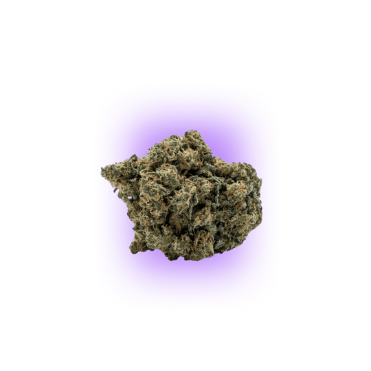 Cali Genetics Chocolate Mint OG 21,3% THC Auto Flowering
