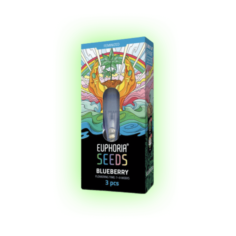 Cannabis Seeds Blueberry