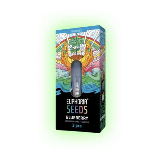 Cannabis Seeds Blueberry