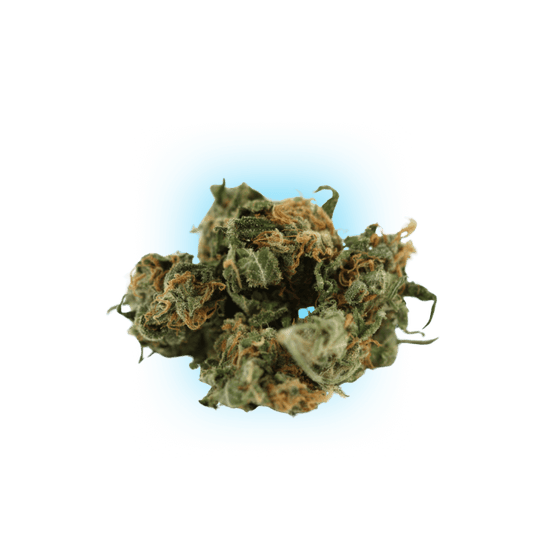 Cannabis Seeds Black Domina