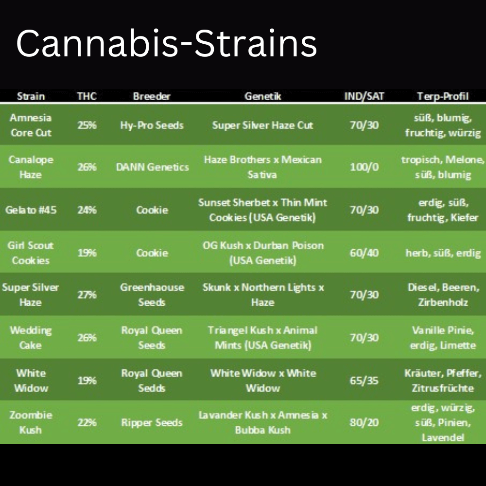 Premium Cannabis Stecklinge Wedding Cake