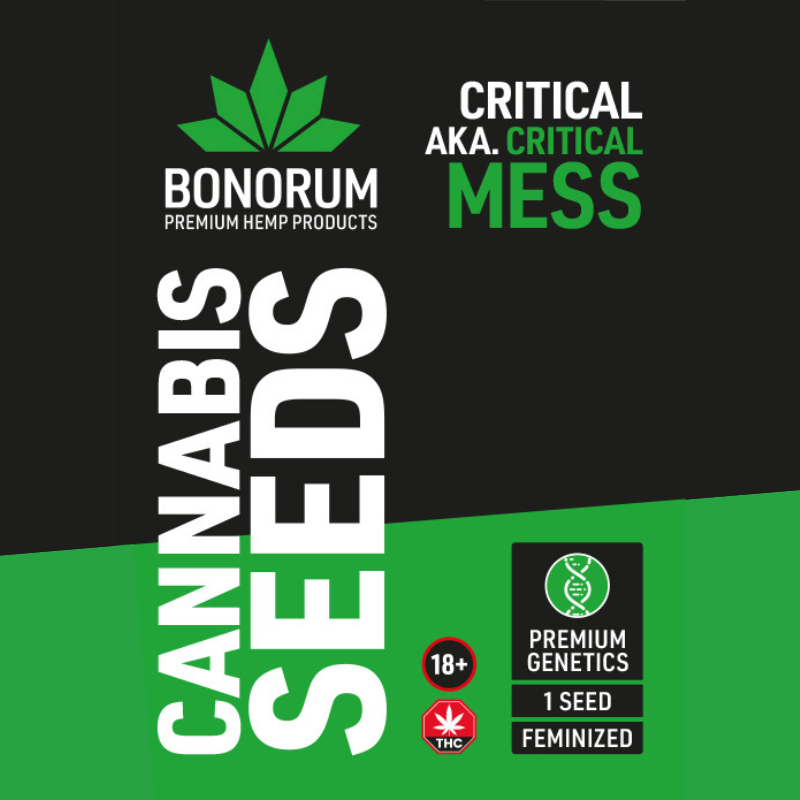 Egenanbau OG KUSH